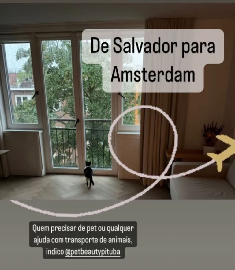 4f377e5c-f5a8-49c2-a84a-613148da5c64